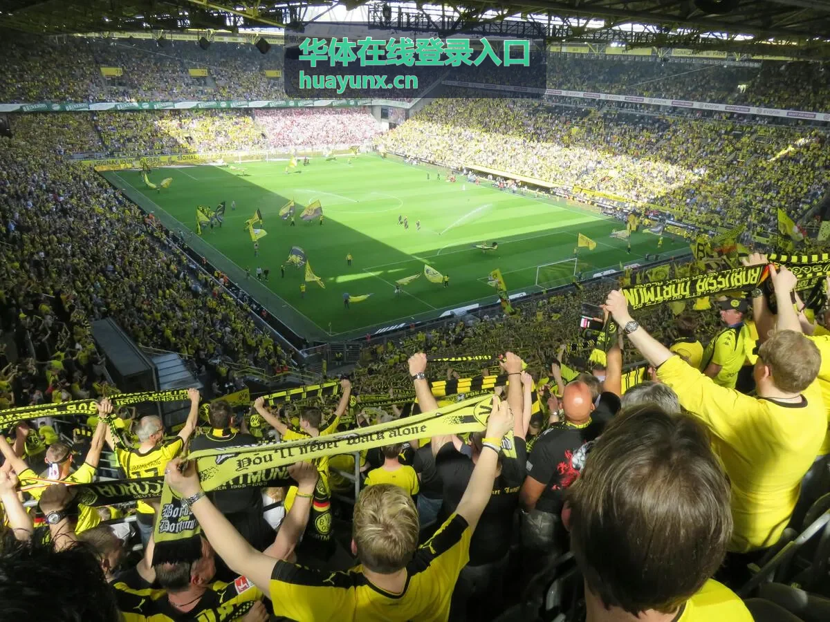 华体在线登录入口装备与场地指南预览